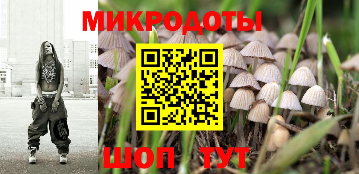Галлюциногенные грибы мицелий Белая Калитва